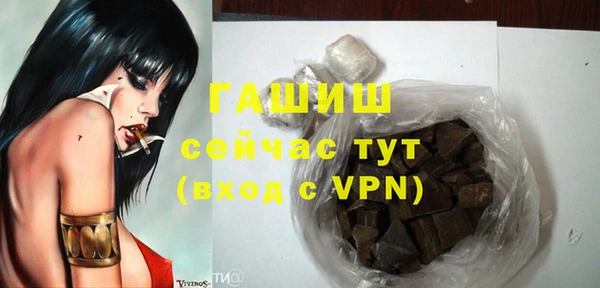 гашик Алексин