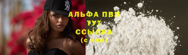 PSILOCYBIN Армянск