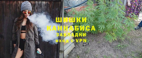 PSILOCYBIN Армянск