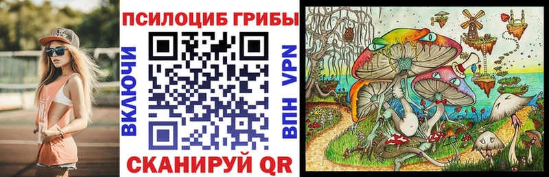 Галлюциногенные грибы Magic Shrooms  Порхов 